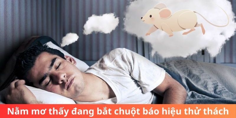 Nằm mơ thấy đang bắt chuột báo hiệu thử thách